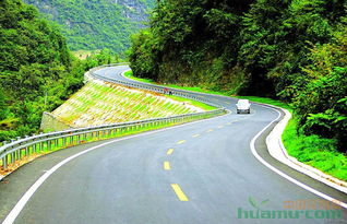 黃浦區園林綠化工程施工公司