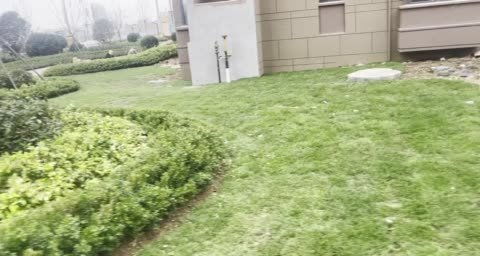 城市芳華動(dòng)態(tài) 小區(qū)綠化正在施工中 日照安居客