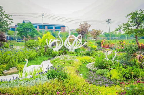 2021年河南省園林綠化花境競賽部分參賽作品賞析