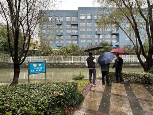 余姚市園林風(fēng)景管理中心對部分公園的綠化補植工程進行驗收